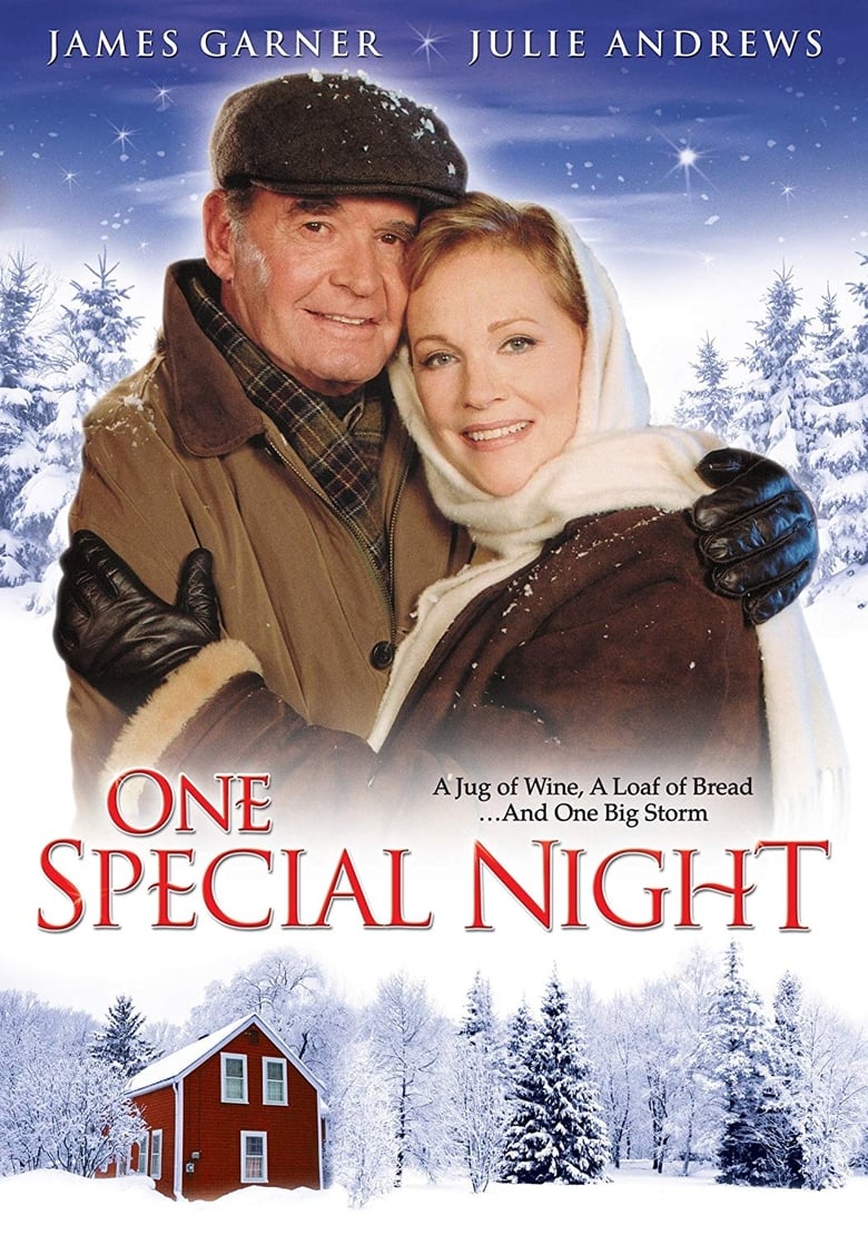 One Special Night