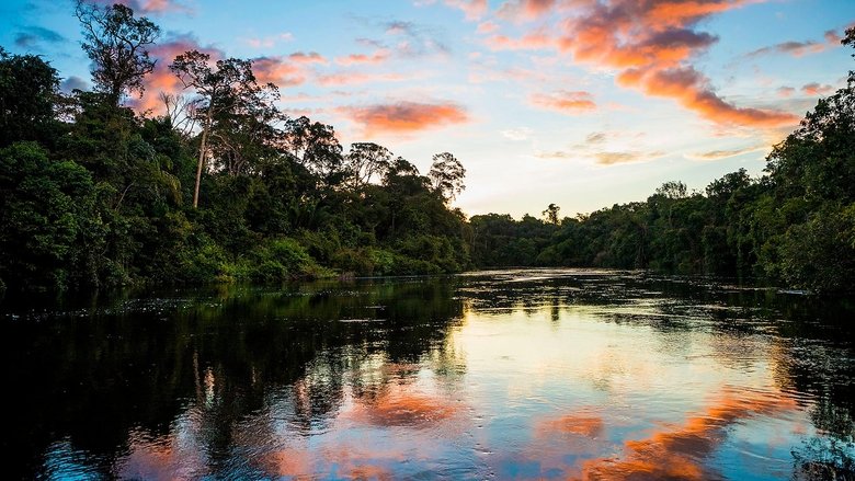 Earth’s Great Rivers