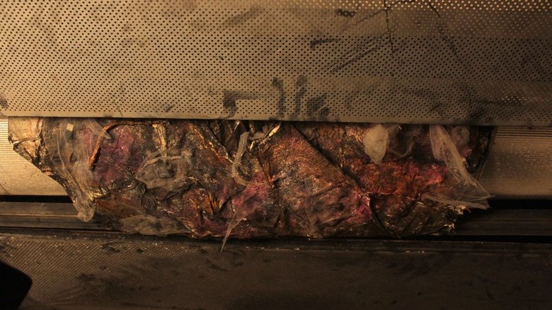 Gallery image from svPMxjMpYgzIfwdBddvcuyBm2SS.jpg