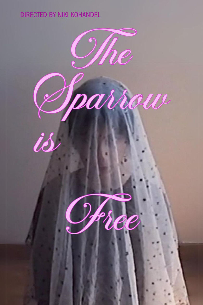 Imatge de گنجشک آزاد است