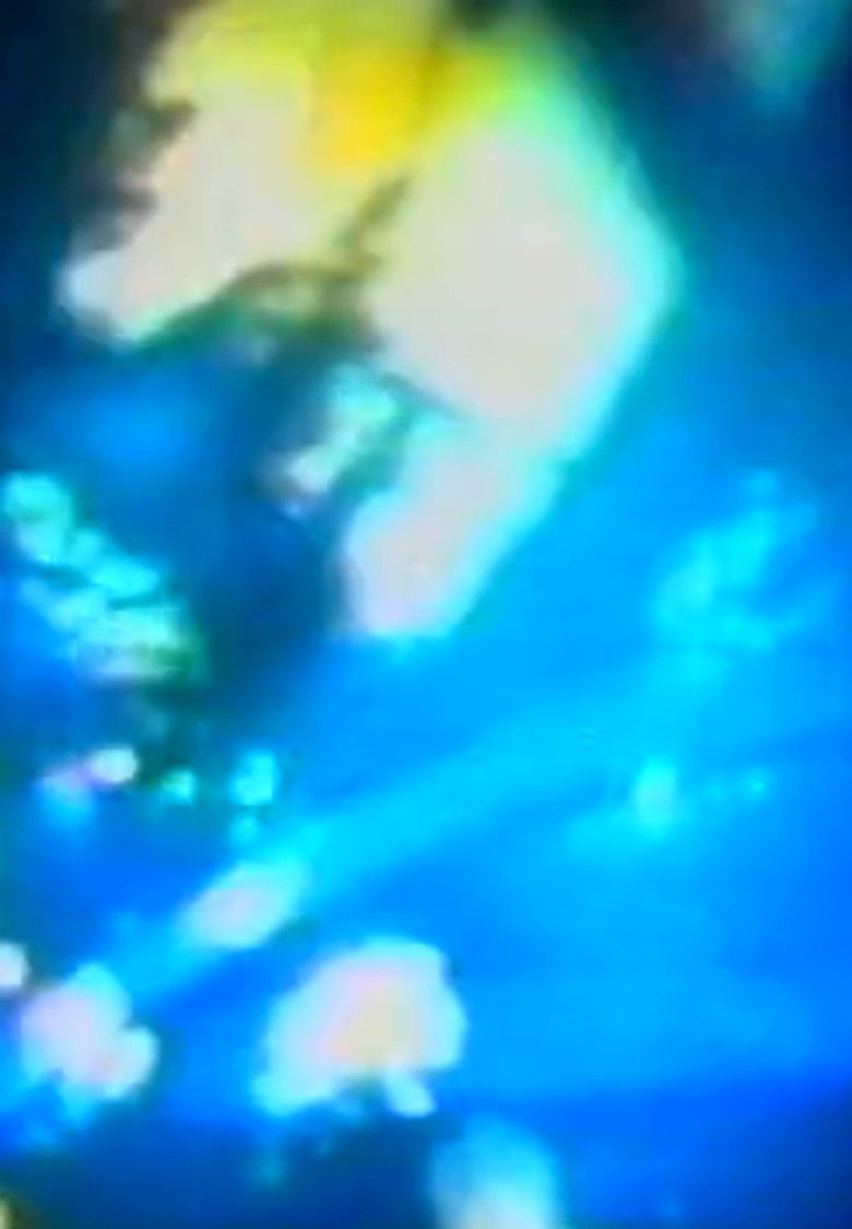 Imatge de Ya Private Sky