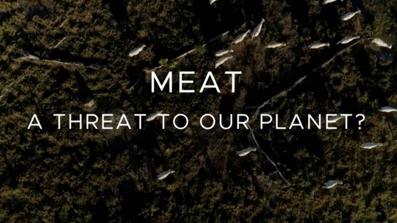 Meat: A Threat to Our Planet movie poster