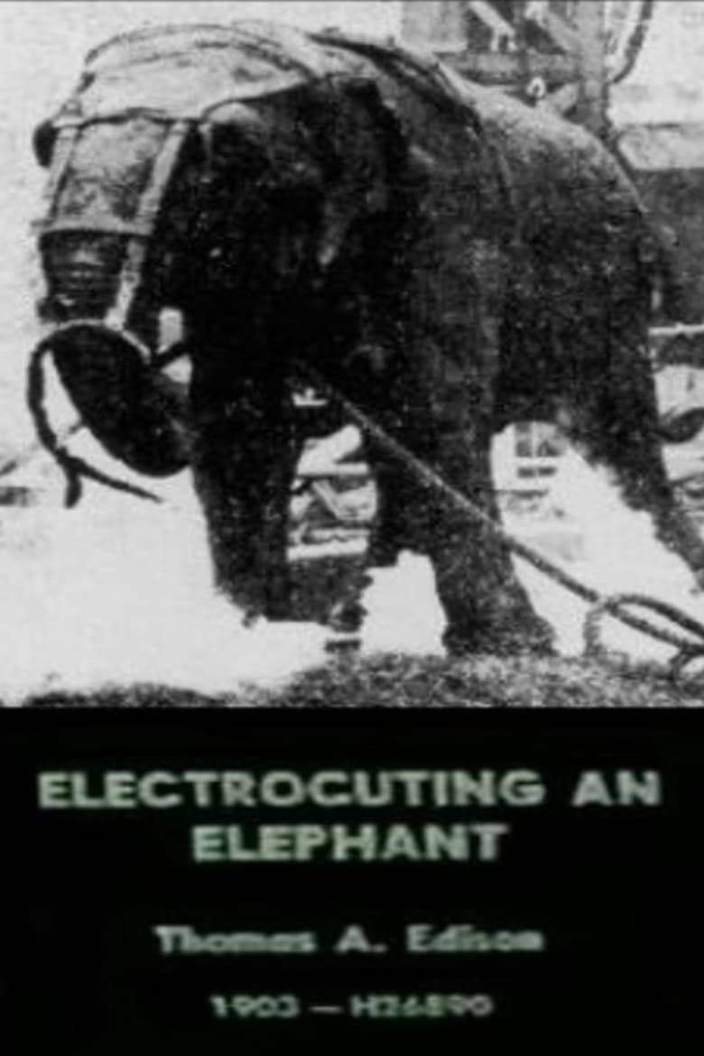 Electrocuting an Elephant