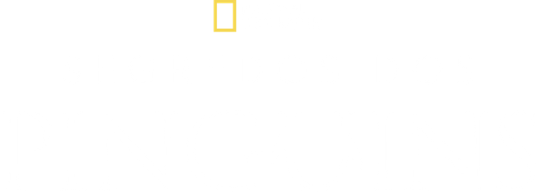 Segredos dos Pinguins