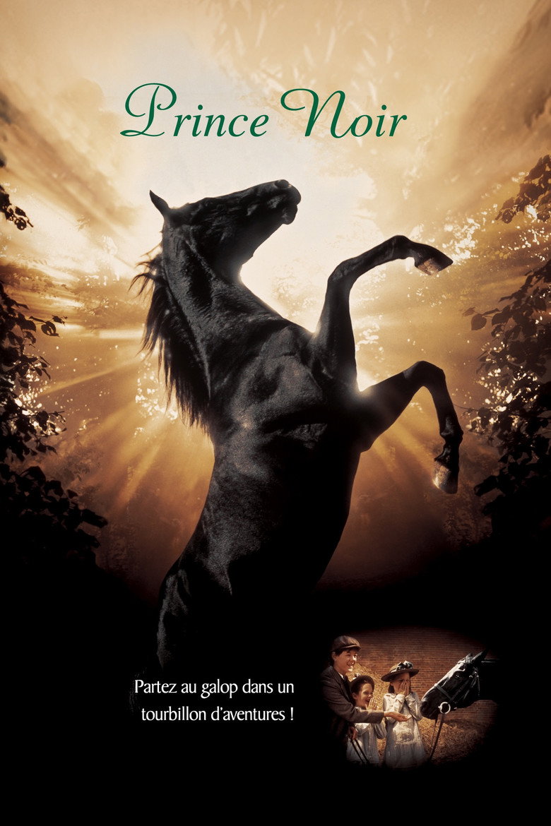 Póster la Película