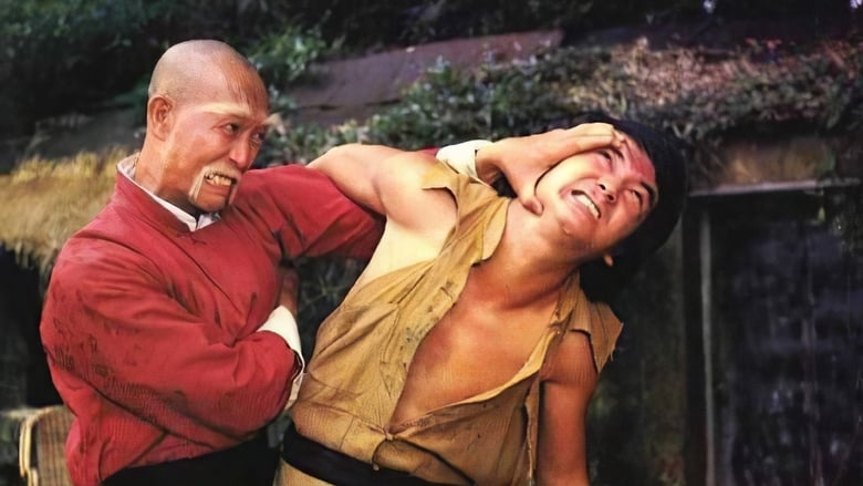مشاهدة فيلم An Old Kung Fu Master 1980 مترجم أون لاين بجودة عالية