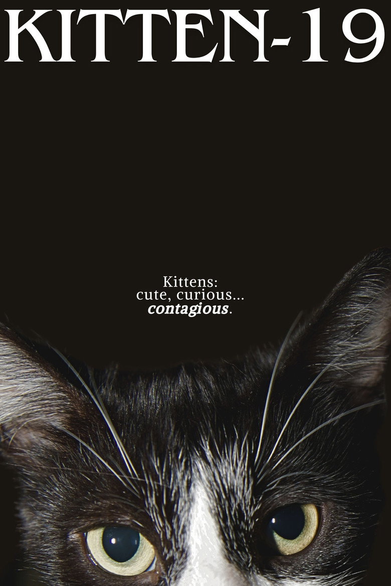 Imatge de Kitten-19