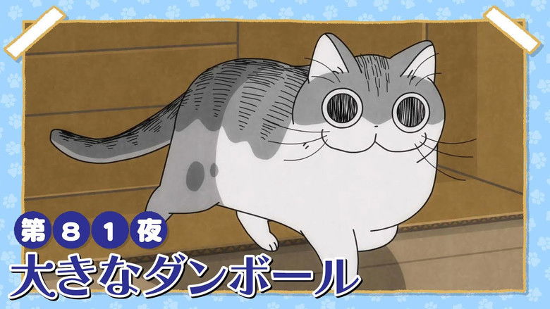 Still image for Nights with a Cat season 1 episode 81: Night 81: A Big Cardboard Box