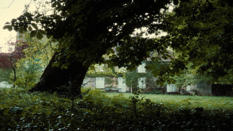 Film backdrop