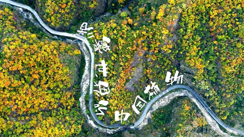The Journey of Chinese Plants backdrop