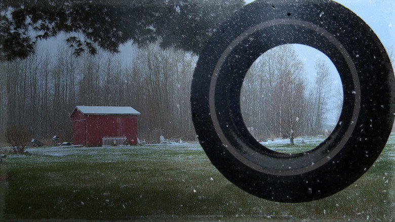 The Incredible Dr. Pol: Jingle Polls (2013), film Documentar online subtitrat în Română