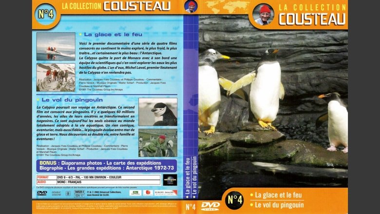 The Cousteau Collection N°4-2 | The Flight of the Penguin main backdrop