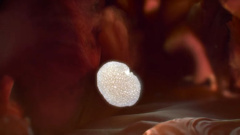 Gallery image from t1KtKlZTuo7Sy5XUJQ2WKujT0hj.jpg