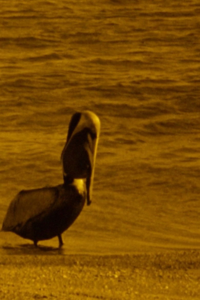 Imatge de A Preponderance of Evidence