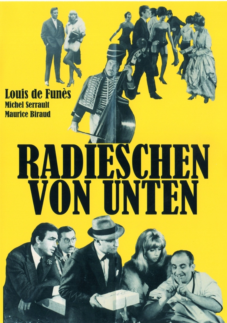Radieschen von unten