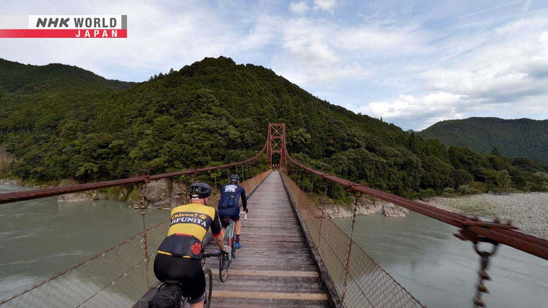 Shizuoka - Energy of the Forest