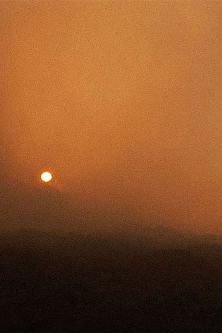 Imatge de Dove vanno i vecchi dèi che il mondo ignora?