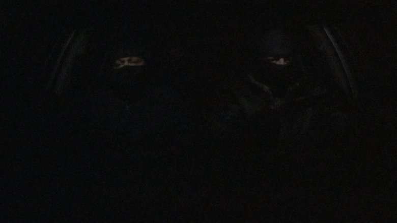 The Wolves main backdrop