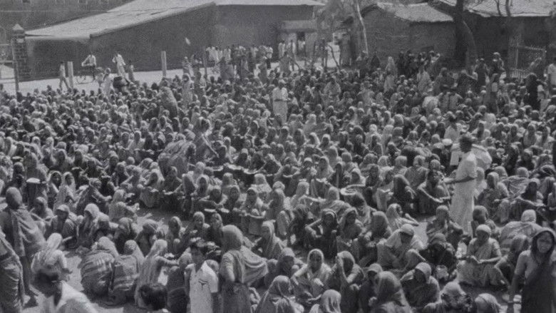 Gallery image from t2UsMg2jFeOKQWw7mC6s76tmX62.jpg