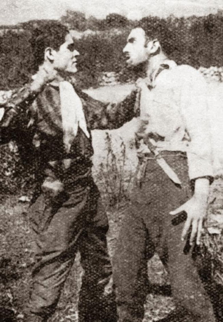 Imatge de Luis Pardo