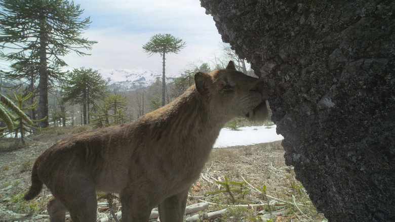 Still from Prehistoric Planet - Season 3 Episode 1