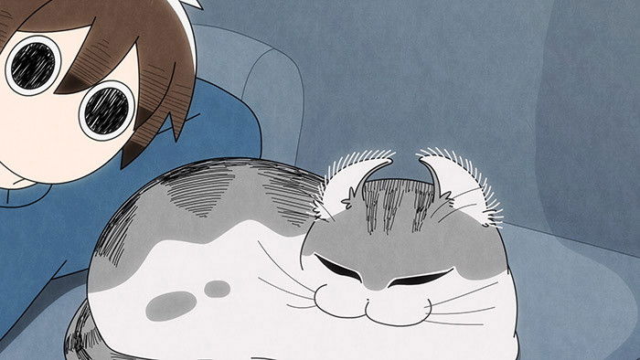 Still image for Nights with a Cat season 1 episode 13: Night 13: I Often Turn Cat Ears Inside Out