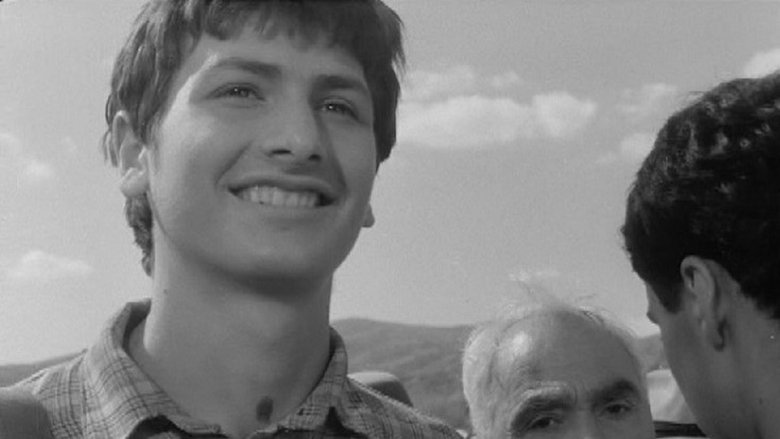 Gallery image from t3QED9TGzP9c2snISLx371J2vEN.jpg