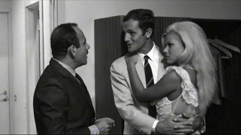 Gallery image from t3dZLU2sa5C5WnQoDT7C2G76eBX.jpg