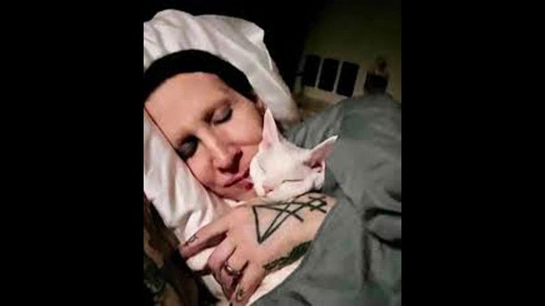 Image d'arrière-plan 1 du film Das Foto-Shoot