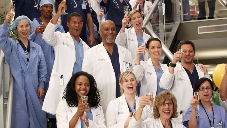 Bs To Greys Anatomy 10 Bs To Greys Anatomy 10