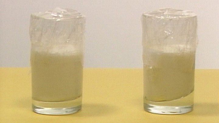 Still image for News Treasury season 1 episode 133: Episode 133