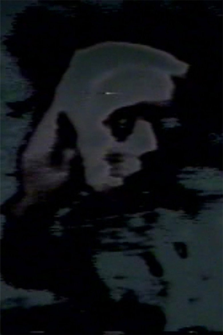 Pictures of the Lost (1978) poster