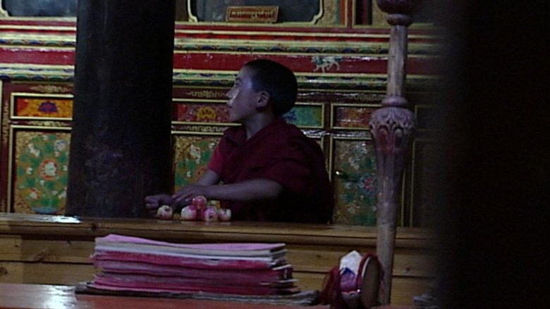 Gallery image from t4aWzScodB2Zq0NKV3HYNYEC1ob.jpg