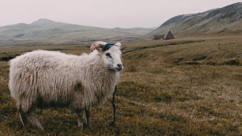 Still from I Draw Inside A Sheep