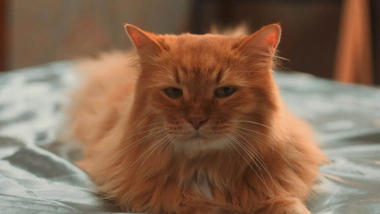 Still image for Cat-astrophe season 1 episode 8: Episode 8 Still image for Cat-astrophe season 1 episode 8: Episode 8