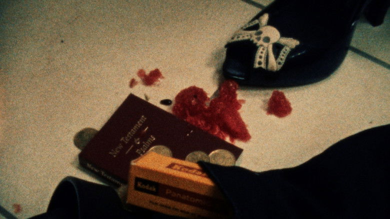 Gallery image from t5bLlBPvk4SxES9VWqtw2S6bz8e.jpg