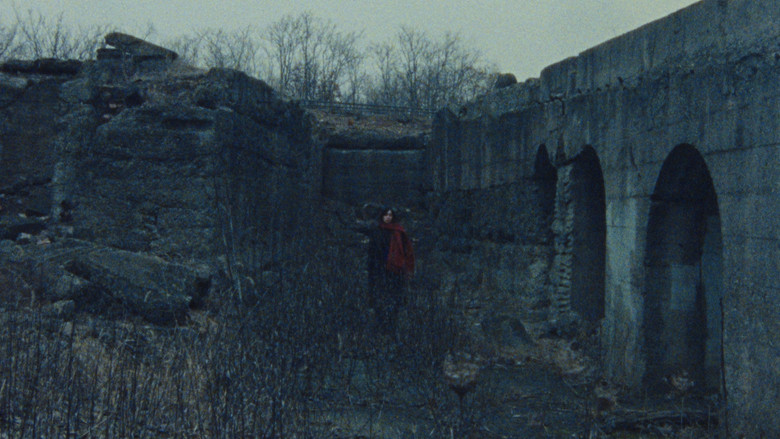 Gallery image from t5wuU3hBhhxoXUjoml4Dd9IVXmh.jpg