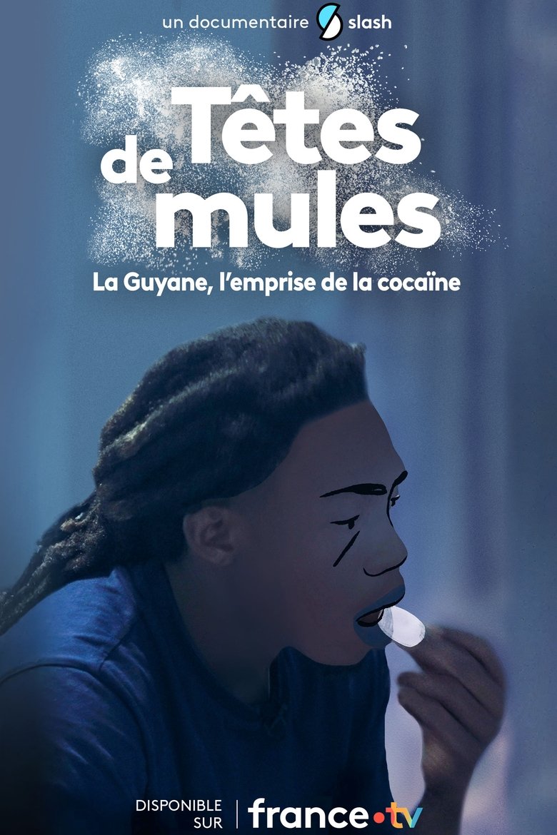 Têtes de mules : La Guyane, l'emprise de la cocaïne (2025)