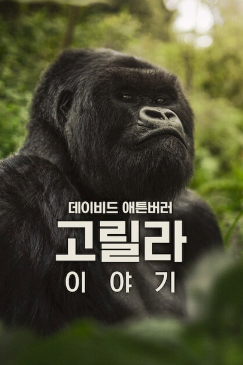 데이비드 애튼버러: 고릴라 이야기(A Gorilla Story: Told by David Attenborough) poster