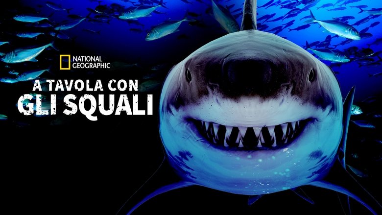 Great Shark Chow Down (2019)