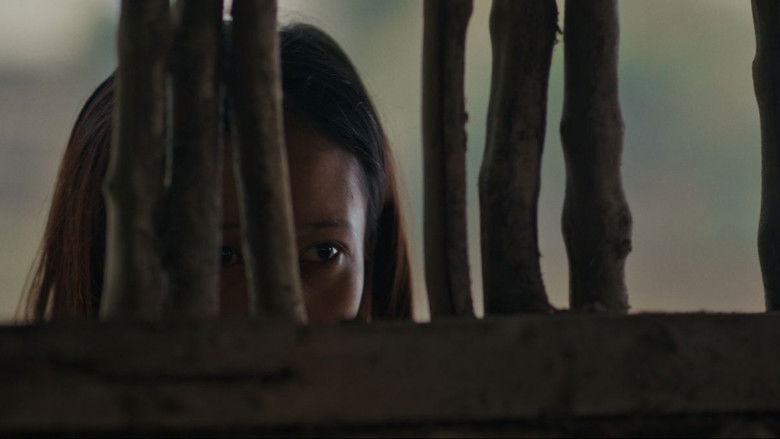 Gallery image from t8BbPlnm9m6ToMuWfMzx0CMdxzp.jpg