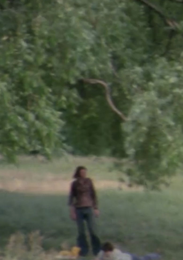 Imatge de Wind Vane II