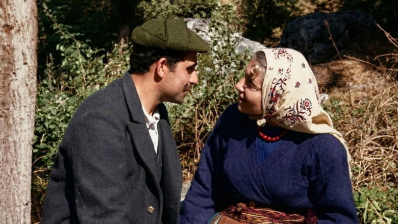 Image d'arrière-plan 3 du film Aysel, Bataklı Damın Kızı