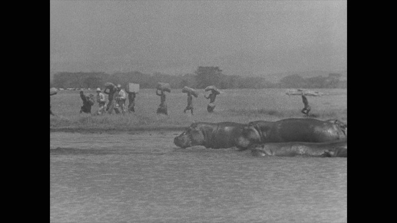 Image d'arrière-plan 4 du film Stanley et Livingstone