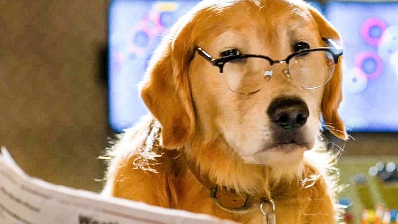 Comme Chien Et Chat 3 Streaming Vf Comme Chiens et Chats 3 : Patte dans la Patte Streaming VF - HDSS