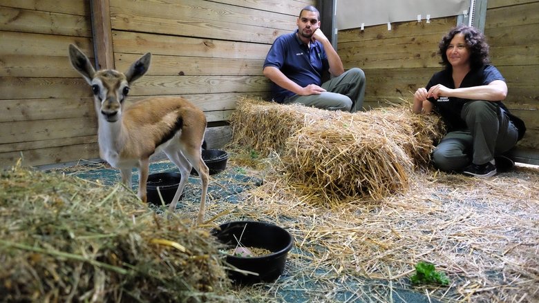 Still image for The Zoo season 1 episode 2: Handle With Care Still image for The Zoo season 1 episode 2: Handle With Care