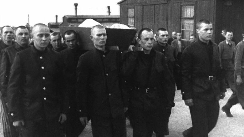 Still image for How The Nazis Lost The War season 1 episode 5: The Bitchy Inner Circle Still image for How The Nazis Lost The War season 1 episode 5: The Bitchy Inner Circle