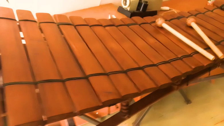 Imatge de Medzi doľinami, medzi vŕški. Po stopách budúceho zvuku Slovenska.