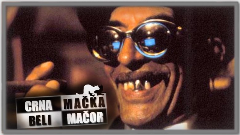 Black Cat, White Cat (1998)
