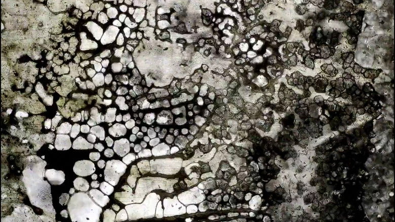 Imatge de Rumpelstilzchen